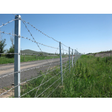 Clôture de barbelé galvanisé pour clôture de route